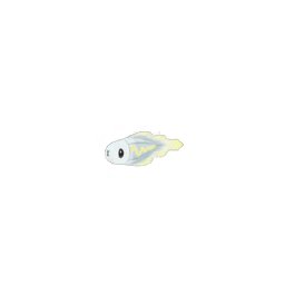 Unova - 0602 - Tynamo